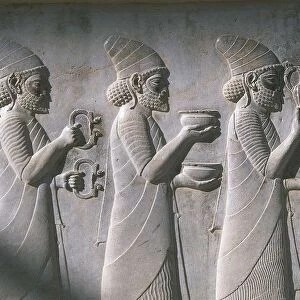 Iran, Persepolis, Reception Hall Apadana, relief of tribute bearers