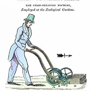 Lawn mower (shearing machine) invented by Mr Budding and manufactured by Ransomes of Ipswich