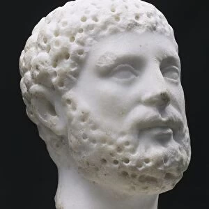 Marble head of man with beard, From Volubis, nearby Tanger Gate (Morocco)