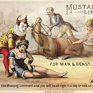 Mustang Liniment Trade Card. ca. 1890, Mustang Liniment Trade Card