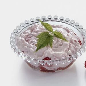 Raspberry trifle dessert garnished with raspberry leaves
