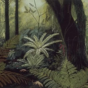 Reconstruction of prehistoric environment, illustration
