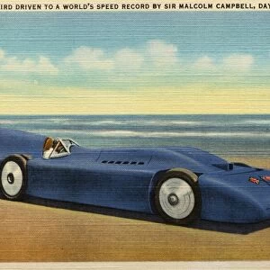 Record-Setting Bluebird. ca. 1935, Daytona Beach, Florida, USA, D-139. BLUEBIRD DRIVEN TO A WORLDs SPEED RECORD BY SIR MALCOLM CAMPBELL, DAYTONA BEACH, FLA. DAYTONA BEACH, FLA. The great beach constitutes the most unique drive in the world. From above Ormond Beach to the Inlet it is a tide packed pavement, 500 feet wide and over 33 miles in length. It is unbelievably smooth and directly at sea level. Thousands visit Daytona Beach just for the breathtaking thrill of a spin down the length of this greatest of all speedways. The International Speed Trials are a great feature of the Winter seasons