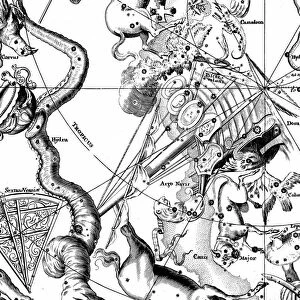 Southern constellation of Argo Navis From John Gabriel Doppelmayer Atlas Coelestis Nuremberg 1742