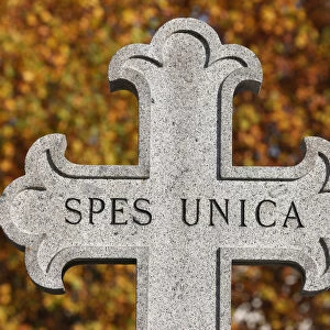 Spes Unica ( One hope )