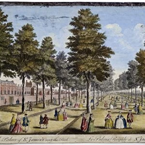St James Palace and Park, London, showing formal planting of trees in avenues
