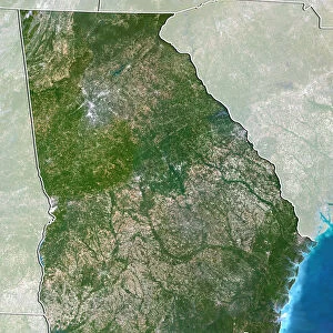 State of Georgia, United States, True Colour Satellite Image
