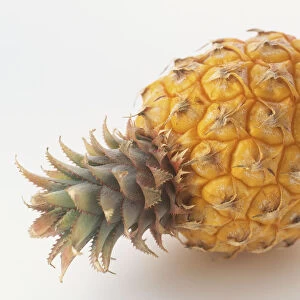Whole, fresh pineapple