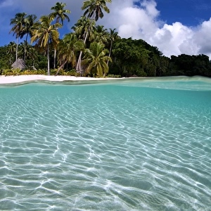 Tropical beach in Fiji