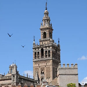 Birds flying by the clock tower of the Cathedral of Seville, Andalusia, Spain
