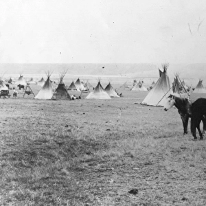Blackfoot Camp