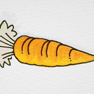 Cartoon carrot