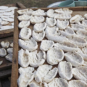Cheese of the nomads, spread out to dry, near Bulgan, Bulgan Aimag, Mongolia
