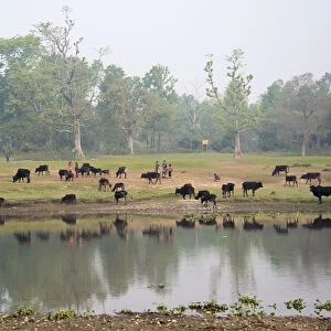 Chitwan National Park, Terai Region, Nepal