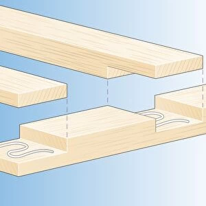 Digital illustration of gluing wood halving joints to end and middle of timber