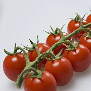 French vine tomatoes