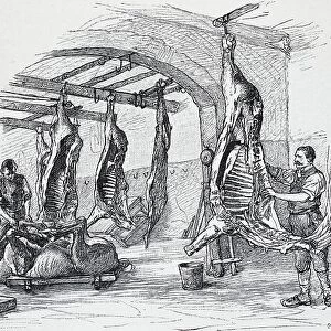 Horse Butcher, Slaughterhouse in Berlin, Germany, Historic, digitally restored reproduction of an original 19th century painting