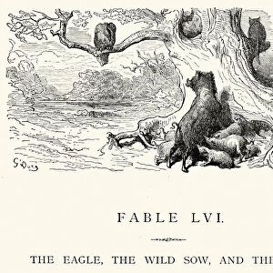 La Fontaines Fables - Eagle Wild Sow and Cat