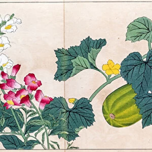 Makua melon and Snapdragon japanese woodblock print