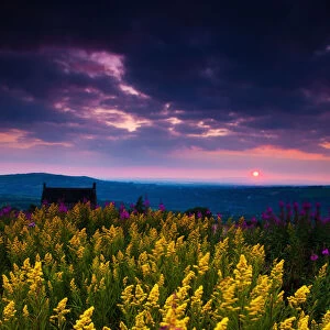 Moody sunset with flowers, English Peak District