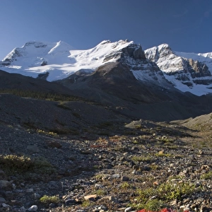 Mount Athabasca, Columbia icefield, Alberta, Canada