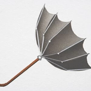 Open umbrella blown upwards from convex into concave shape by strong wind, side view