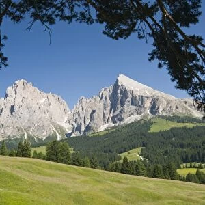 Plattkofel and Langkofel mountains, Seiser Alm, South Tyrol, Italy, Europe