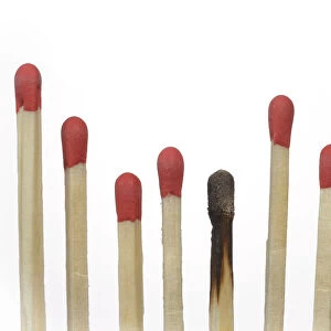 A row of matches, one match is burned, symbolic image of burnout, exclusion, Germany