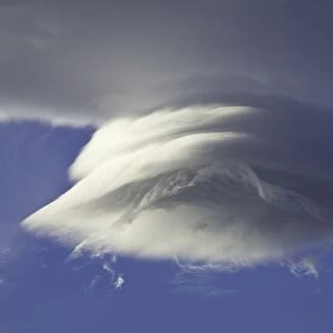 Spectacular lenticular and cumulus clouds