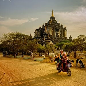 A tourist family driving around bagan temples, Myanmar