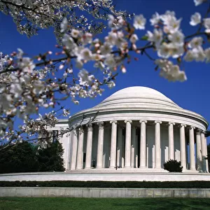 USA, Washington DC, The Mall, Jefferson Memorial, cherry tree