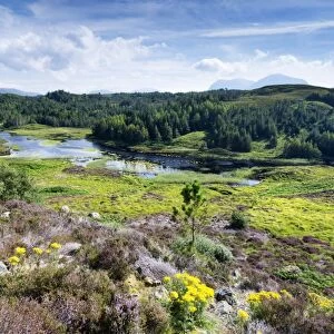 View across the moorland at Loch Dubhaird Mor in the Northern Highlands, Sutherland, Scotland, United Kingdom, Europe
