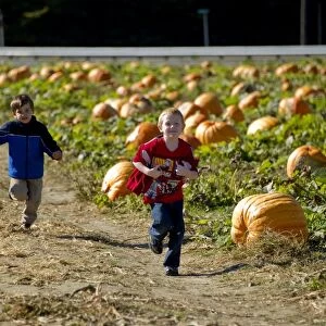 With Halloween just days away, children run through a pummpkin patch at Councell Farms in Cordova