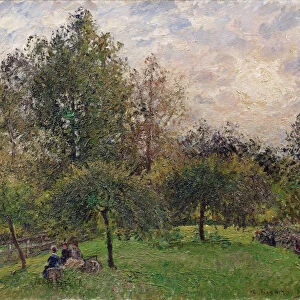 Apple Trees and Poplars in the Setting Sun, 1901 (oil on canvas)