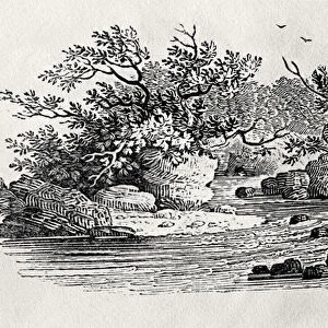 A bend in the river, from Water Birds, published 1804 (wood engraving)