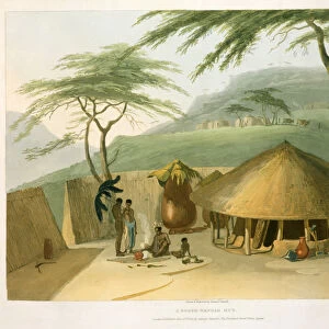 A Boosh-Wannah Hut, plate 7 from African Scenery and Animals
