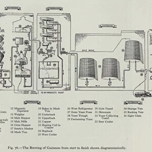 The Brewing of Guinness from start to finish shown diagrammatically (litho)
