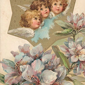Three cherubs in an image decorated with flowers (colour litho)