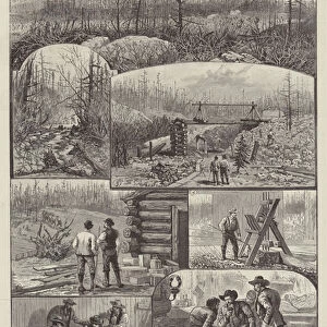 The Denison Gold-Mines, near Algoma, Lake Huron, Upper Canada (engraving)