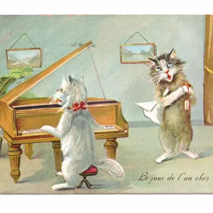 Edwardian postcard of a cat playing the piano and the other singing while a third is