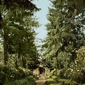 Garden path in the garden of Claude Monet, Giverny (photo)