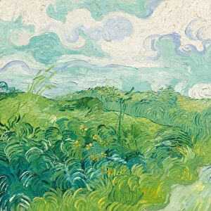 Green Wheat Fields, Auvers, 1890 (oil on canvas)
