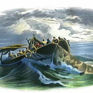 Herring fishing - Plate extracted from Histoire Naturelle by Bernard Germain de Lacepede (1856-1925), edition P.Furme, Paris, 1857