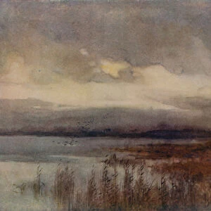 Hickling Broad (colour litho)