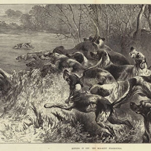 Hitting it off, the Mid-Kent Staghounds (engraving)