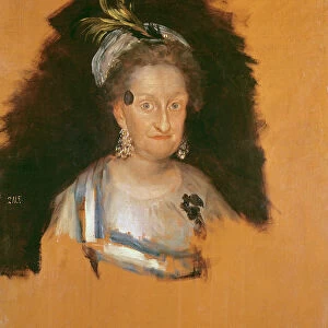 The Infanta Marie Josepha (study for the Family of Charles IV), before 1800 (oil
