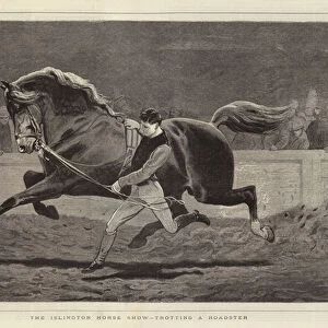 The Islington Horse Show, trotting a Roadster (engraving)
