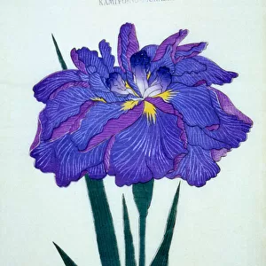 Kamiyo-no. -Mukashi, no. 16, 1898 (colour litho)