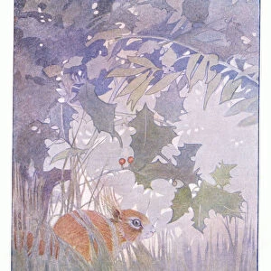 Laurence hid himself in the twinkling of an eye, illustration from More About the Squirrels by Eleanor Tyrell, c. 1915 (colour litho)