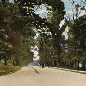 The Long Avenue, Coventry (photo)